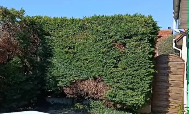 Mur de clôture à la Verpillière, Bourgoin-Jallieu, KS Maçonnerie